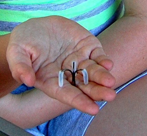 Amazon.com : Fish Hook Barb Protector Guard Cap Lure Protection Safety Cover Fishing - Mercurydean USA -100 Count : Sports & Outdoors Amazon.com : Fish Hook Barb Protector Guard Cap Lure Protection Safety Cover Fishing - Mercurydean USA -100 Count : Sports & Outdoors