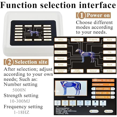Extracorporal Shockwave Therapy Machine for Horses, Animal Shock Wave Massager, with 7 Deep Tissue Massage Heads, for Muscle Pain Relief miniatura 2
