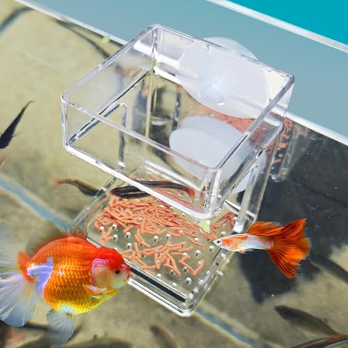 Cuenco de alimentación para peces para mantener el acuario limpio 4