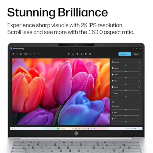 Image of HP OmniBook 3 14 inch Next Gen AI PC, 2K IPS Touchscreen Laptops Computer, Snapdragon X X1-26-100, Qualcomm Adreno GPU, 16GB LPDDR5x 512GB SSD, Office Lifetime License, Copilot+ PC - Windows 11 Pro