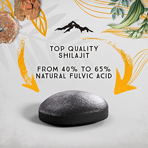 Shilajit Dry Drops - 120 Counts, Rich In Naturall Fulvic Acid, Original Siberian Shilajit, 100% Pure, Trace Minerals Complex #TOP1