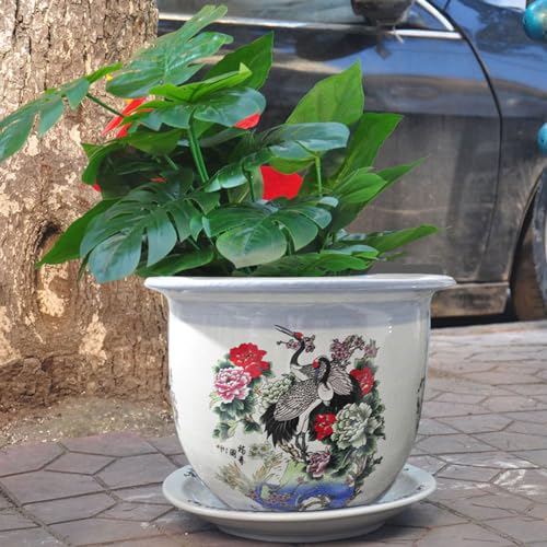 Maceta de cerámica de Porcelana Pastel, Maceta de cerámica, Maceta de bonsái Oriental China, Maceta Decorativa para Plantas, Maceta para orquídeas suculentas con platillo para Jard