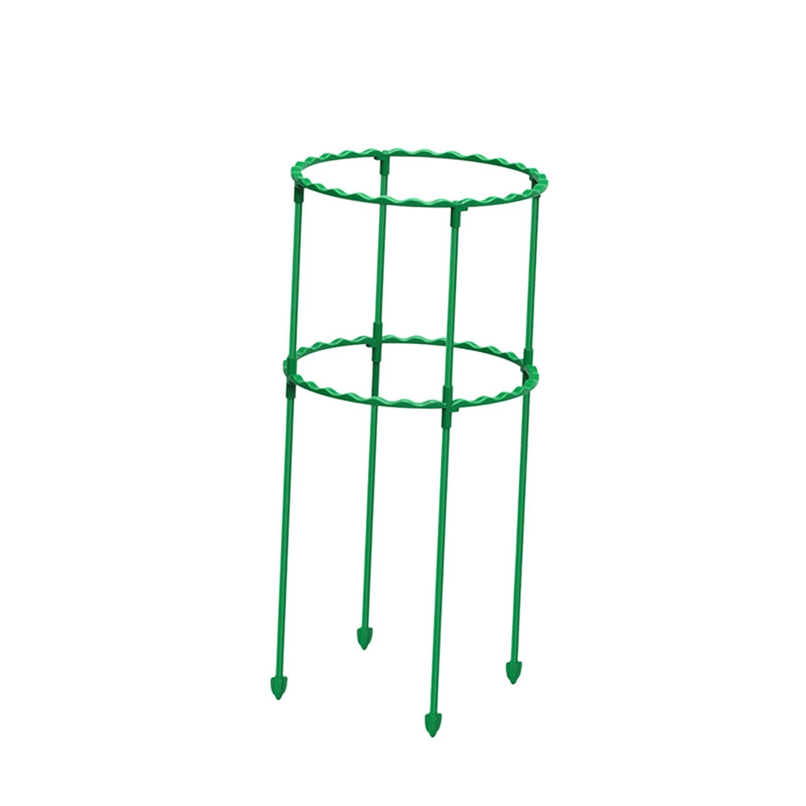 Tomato Growing Cage Garden Plant Support Stakes for Potted Plants Vines Pots Double Layer 40Cm-image-33