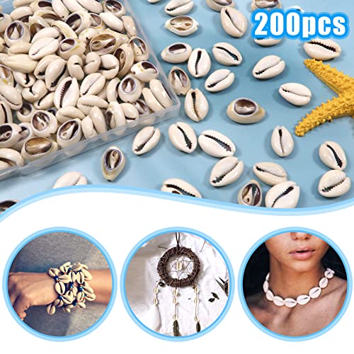 TOAOB Pack of 200 Natural Shell Beads 15 to 19 mm Seashells Kauri for DIY Jewellery Making Deco Crafts Grey - Image 3