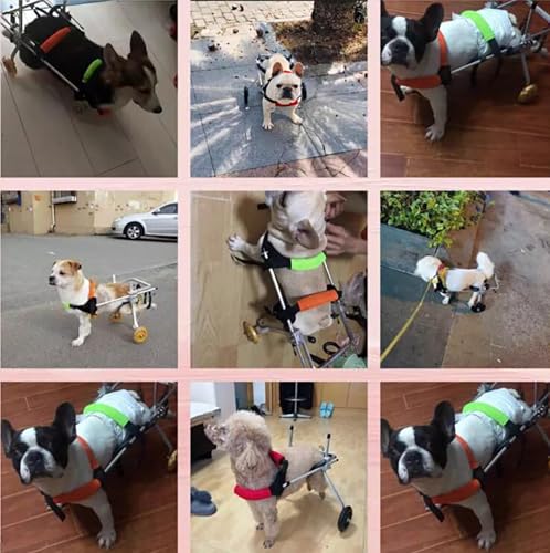 Carrito ajustable de rehabilitación para patas traseras débiles en perros pequeños 2