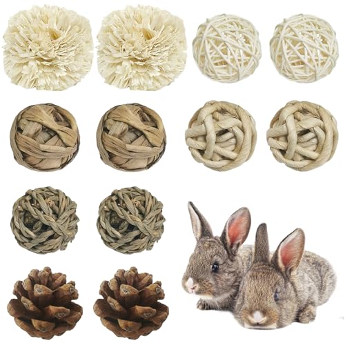 JUNENTER 17 VRETMpނ bg pvC{[ ETMANeBreB ``]肨 邨 {[ ybg bg nX^[ W[r }EX P[W G^[eCgp