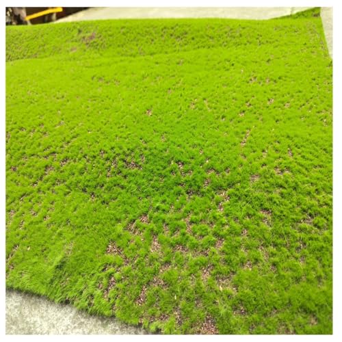 Fake Moss for Indoor Outdoor Decor Lifelike Artificial Moss for Floral Arrangements Planters(1 Size)