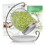 SeedPal - Sprossenglas Keimglas Set - Keimglas für Sprossen Samen & Microgreens - 900ml - hochwertiger Edelstahl - für Keimsprossen & Keimlinge - inkl Anzuchtanleitung - Keimsprossenglas