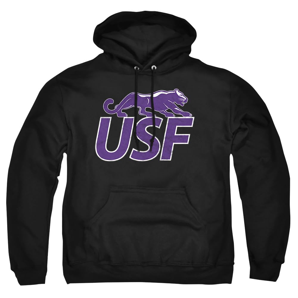 LOGOVISION Official Collegiate Distressed Primary Logo Adult Pullover Hoodie Collection — view 518