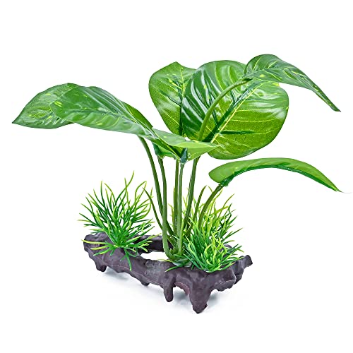 MRTIOO Reptile Artificial Plants, Terrarium Plants Decorations Supplies, Amphibian Habitat Hideout Tank Accessories, Rainforest Ground Plant (AA) - Thumbnail 3