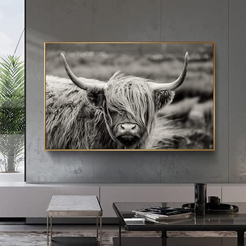Tableau vache écossaise affiche yak décoration murale salon