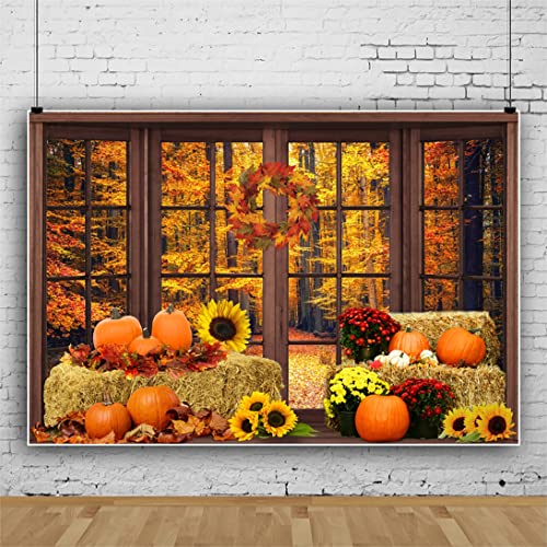 10x8ft Vinyl Autumn Forest Window Photography Backdrop Thanksgiving Pumpkin Sunflower Hey Harvest Background Fall Party Decorations Fall Woodland Tree Scenery Backdrop for Photo Booth Props -  Arrebolart