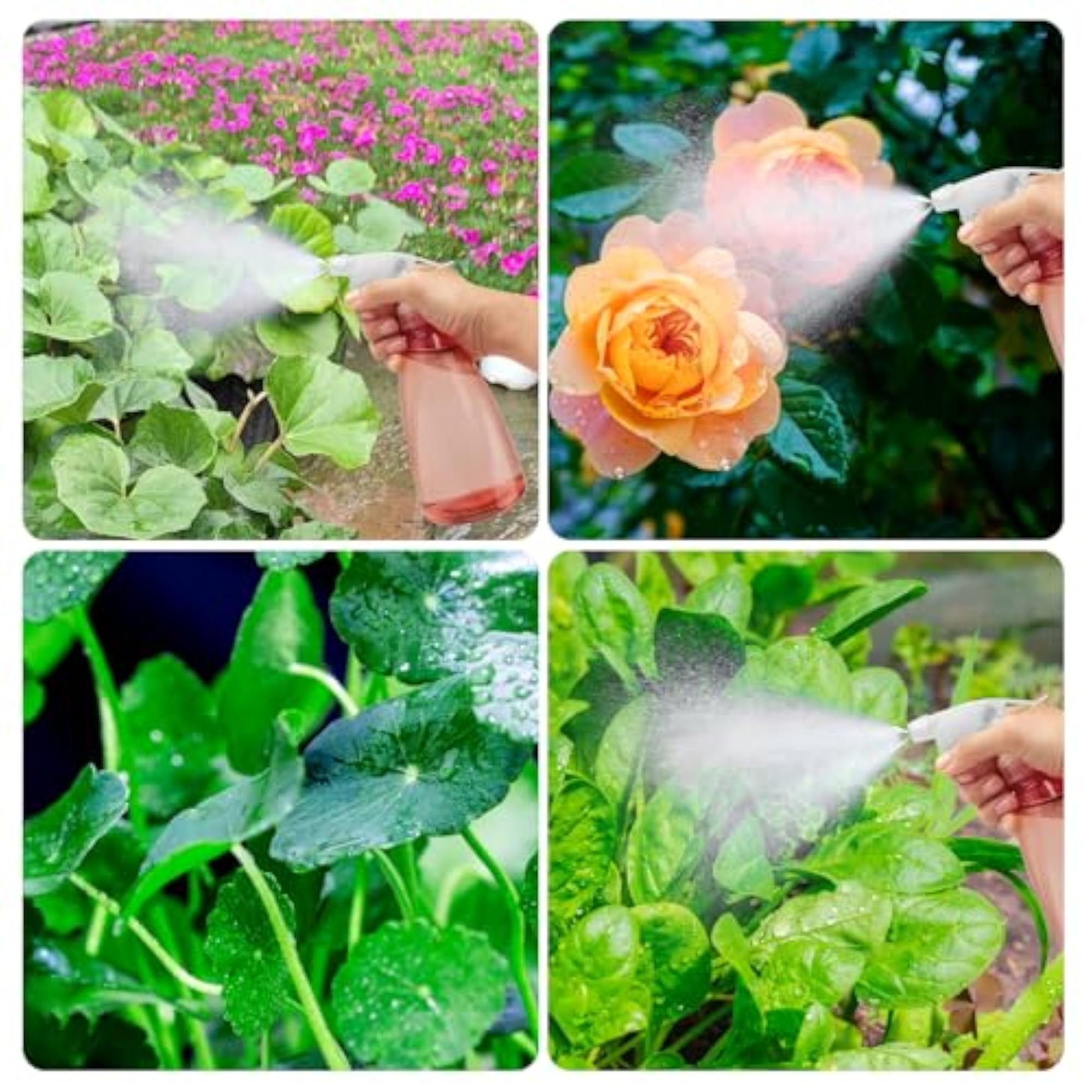 3 Pcs Water Spray Bottle 500ml Plastic Empty Spray Bottles