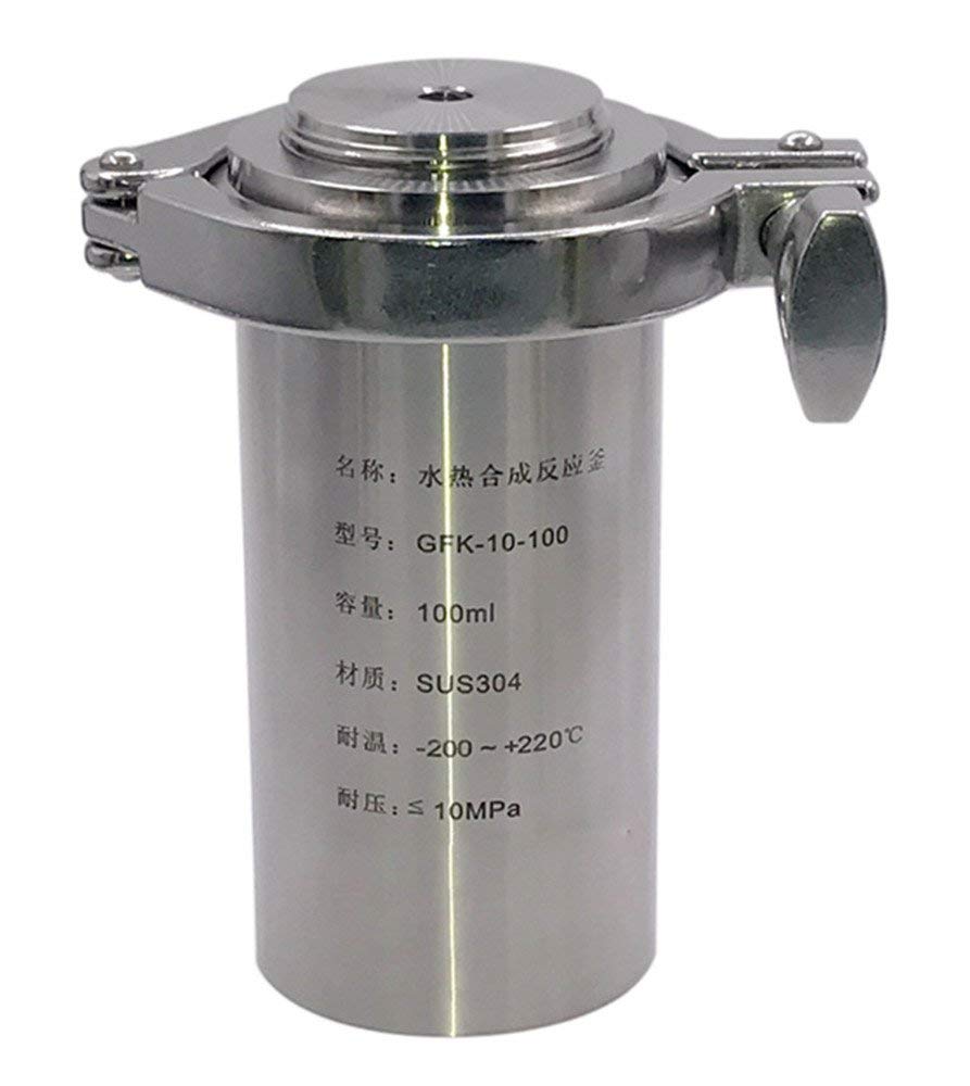 CGOLDENWALL 100ml reactor hidrotermal de la autoclave de la síntesis PPL alineó 10MPa 260 ℃ equipo de herramienta del laboratorio del tanque de alta presión del acero inoxidable