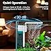 QiQiWader Small Aquarium Filter, Fish Tank Filter, Suitable for 10-20 Gallon Fish Tanks, 5W 110GPH with Two Modes Switching Function.