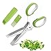 Zestaw nożyczek do ziół – wielofunkcyjne nożyce kuchenne nożyczki do cięcia z 5 ostrzami ze stali nierdzewnej, nożyczki, nożyczki, Clever Cutter z osłoną, nożyce kuchenne do żywności, kolendra, cebuli