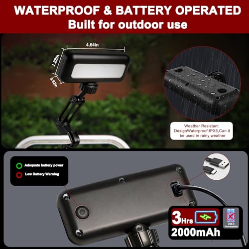 View 3