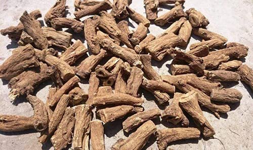Desi Jadi Buti Kuth Kadvi (Stem) – Koot – Kut – Costus Stem – Kustabeheri – Kusth-e-talkh Seed Indian Costus Root – Kust e Talkh – Saussurea Lappa (50 g)