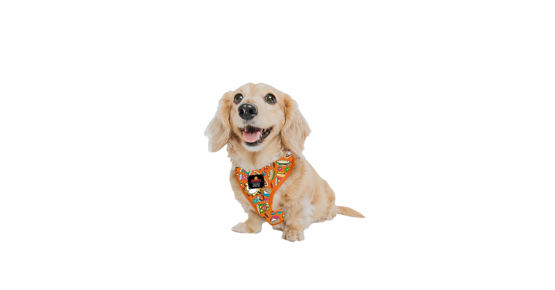 Amazon.com : Sassy Woof Dog Adjustable Harness - Garfield
