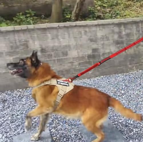 Image of 6-in-1 Tactical Dog Leash for Large & Medium Dogs, Heavy Duty Bungee Leash with Dual Handle, Reflective Shock Absorbing Nylon Training Leash with Car Seat Belt (Red)