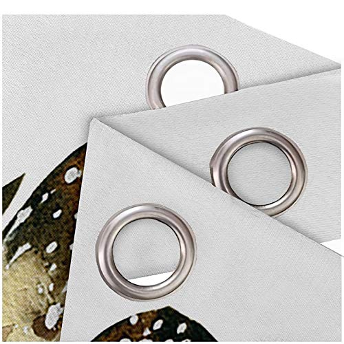 Rideaux occultants à oeillets imprimé plumes multicolore blanc 137x214