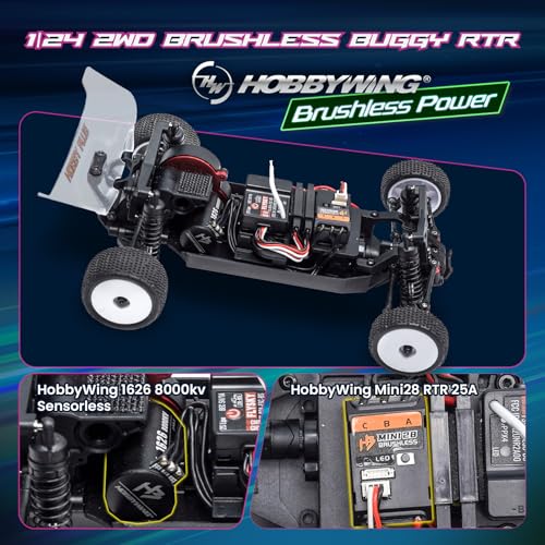 Image of HOBBYPLUS Speck B Elite Brushless 1 /24 2WD Mini RC Car - RTR RC Buggy, Fast Mini Racing Buggy - Remote Control Car Racing Vehicles (Razor Magenta)