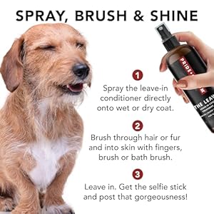 Pride-and-Groom-The-Leave-in--Dog-Conditioner-and-Detangler-Spray-Made-in-USA-with-Clean-Ingredients-Signature-Scent-to-Nourish-Moisturize-Repair-Add-Shine-to-All-Pet-Coat-Types--12-fl-oz - Cucciolini Doodles   Pride-and-Groom-The-Leave-in--Dog-Conditioner-and-Detangler-Spray-Made-in-USA-with-Clean-Ingredients-Signature-Scent-to-Nourish-Moisturize-Repair-Add-Shine-to-All-Pet-Coat-Types--12-fl-oz