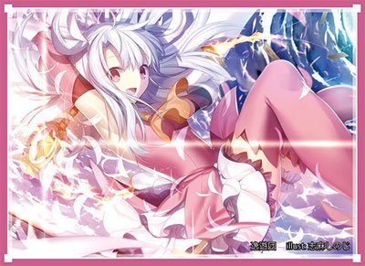 Amazon.co.jp: 逸遊団 キャラクター カードスリーブ 第29弾 Fate