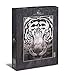 Ulmer Puzzleschmiede - Puzzle Tigre - Puzzle de 1000 Piezas - Tigre majestuoso en Primer Plano