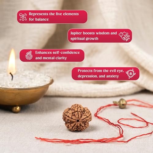 Image of Gemsmantra Energized 7 Mukhi Rudraksha Bead, Original Nepali Lab Certified, Natural Spiritual Accessory for Meditation and Spiritual Use for Men and Women (Medium Size)