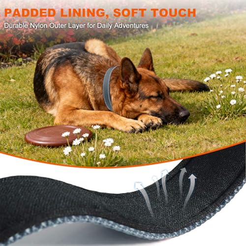 Image of Taglory Reflective Large Dog Collar, Comfortable for Safe Night Walks, Grey