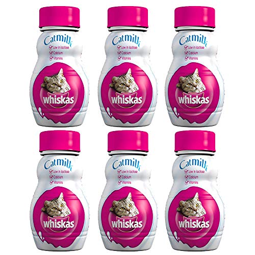 KRISP 6 x 200ml Cat Milk Drink Treat Calcium Protein Healthy Pet Food