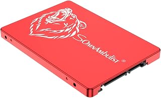Somnambulist 2.5 Inch SATA 3 120GB 240GB 60GB SATA3 SSD Internal Hard Drive for Laptop (Red Bear-60GB)