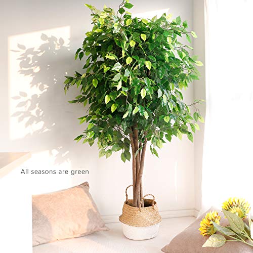 Worth Garden Artificial Plants,6Ft Realistic Fake Fiddle Leaf Fig Tree,70In Faux Silk Plant,Ficus Lyrata Plant Greenery For Office,1826 Leaves,Indoor Outdoor Decor,Black Pot & 20G Dry Moss Included #TOP2