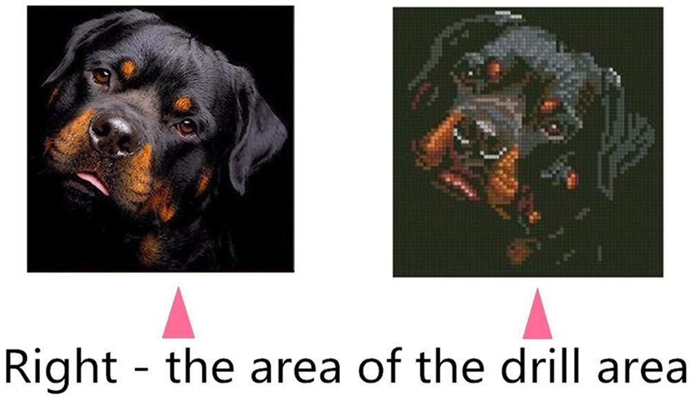 YSCOLOR Diamond Painting 5D Rottweiler Cane 30x40cm Kit Completo Con Diamanti Rotondi