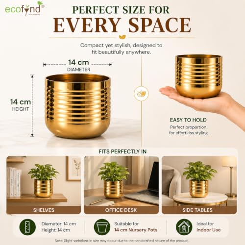 Image of ecofynd 1 Pack Metal Plant Pots (5 inch), Indoor Small Planter Flower Pots, Home Garden Decor Planter for Living Room Bedroom Interior (Gold Finish, POT052)