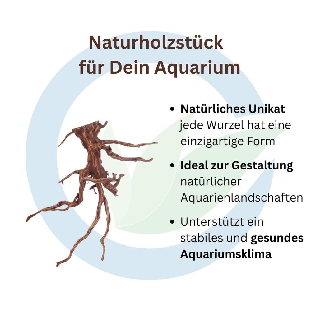 AquaOne Red Spiderwurzel Aquarium Wurzel XL Moorkien Holz Deko Aquascaping Dekoration Landschaft Moos Natur Echtholz