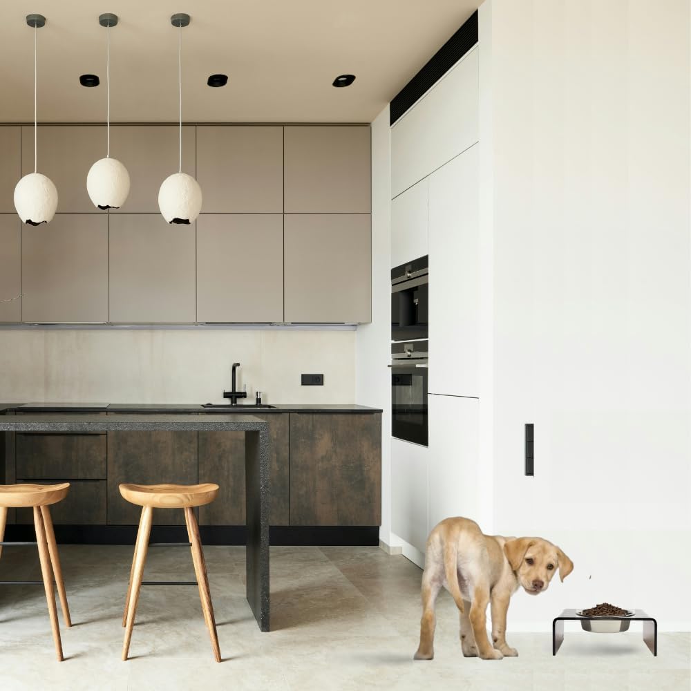 Hiddin Single Elevated Dog Bowl Stand for Small or Medium Dogs, All Breeds, Bronze Acrylic 5 Inch Raised Dog Bowl Stand with a Stainless Steel Bowls for Food or Water - 6.5 Cup Dish