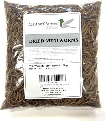 Premium Dried Mealworms, 6L Bag Wild Bird Food MCW