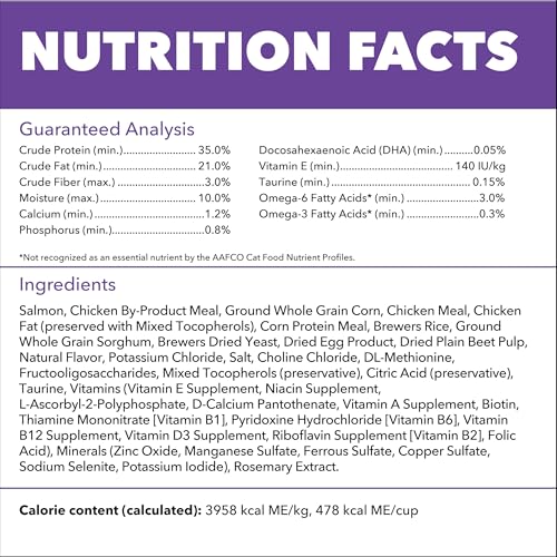 Image of IAMS Proactive Health Healthy Kitten Dry Cat Food Salmon Recipe, 3.5 lb. Bag