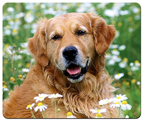 sweatshirts for dog lovers