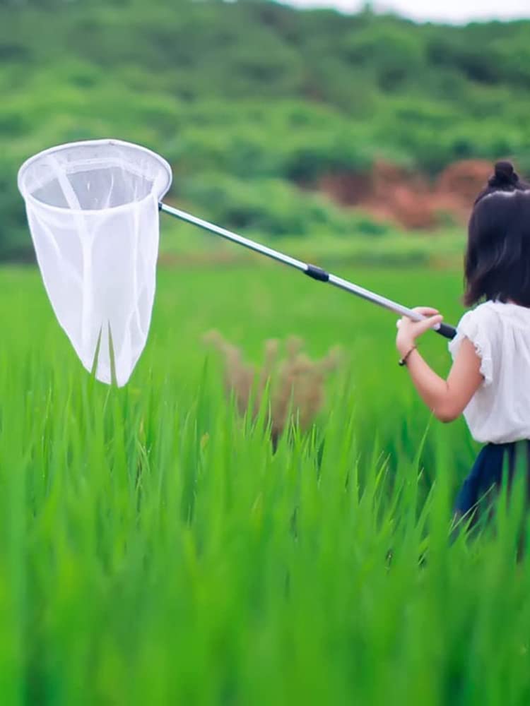 Amazon | Ladruph 虫取り網 折りたたみ 子供用 昆虫ネット バタフライ