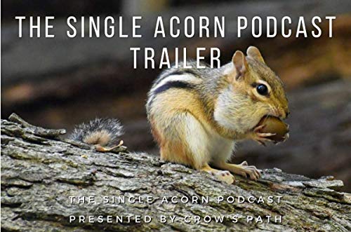 00.00 – The Single Acorn Trailer cover art