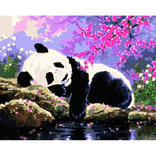 Peinture par numéros animal mignon kenyoo avec toile encadrée HPS89