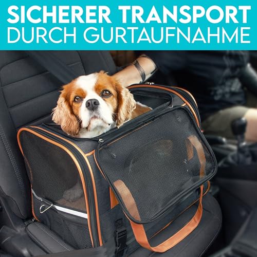 HUND IST KÖNIG Hundetasche & Katzentasche bis 8kg - Hochwertige Hundetragetasche - Transporttasche für Katzen - Faltbare Mobile Tragebox für Hunde & Katzen