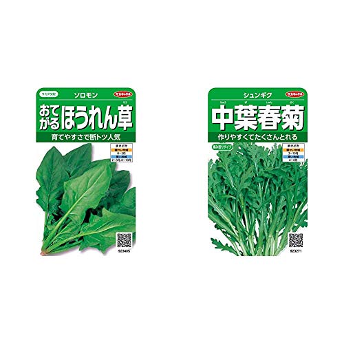 サカタのタネ 実咲野菜3405 おてがるほうれん草 ソロモン 00923405 & 実咲野菜3271 中葉春菊 シュンギク 00923271【セット買い】