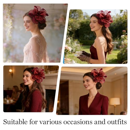 Image of DRESHOW Fascinators Hat Tea Party Headwear Ribbons Feathers on a Headband and a Clip for Women