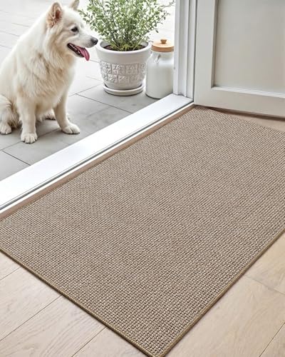 COLOR&GEOMETRY Paillasson Interieur Entree 44x76cm, Antidérapant Tapis Entrée Intérieur, Tapis de Porte Absorbant, Fin, Anti-salissures, Lavable,Tapis pour...