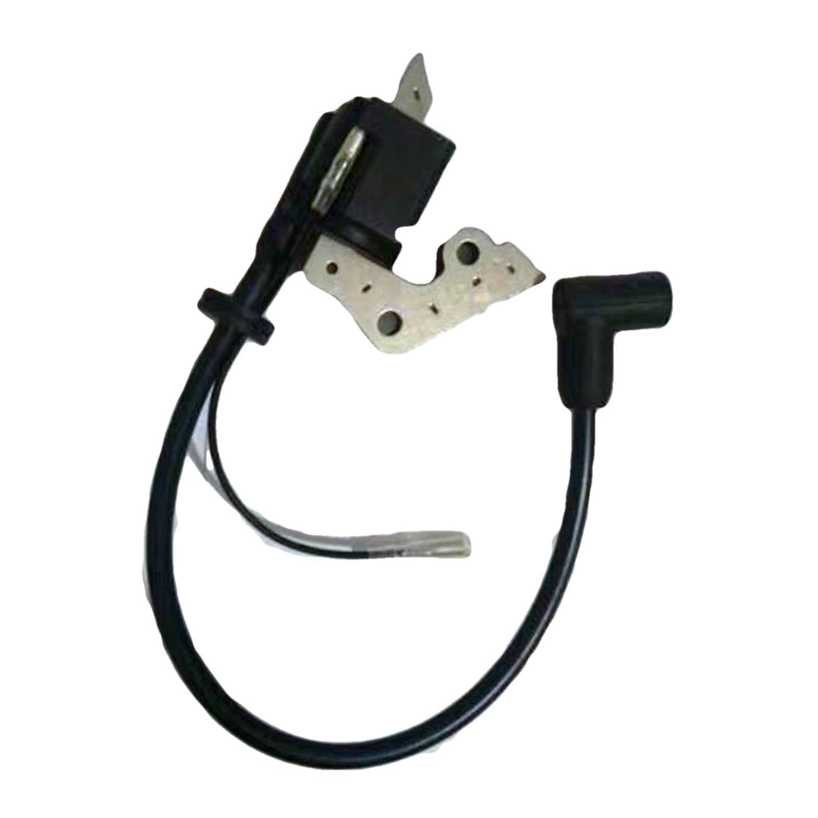 EASTERTIME EY20 IGNITION COIL For 167F RGX2400 RG2400 GASOLINE GENERATOR 4 STROKE 5HP 183CC MAGNETO SOLID STATE MODULE PARTS Ignition Coils Magneto