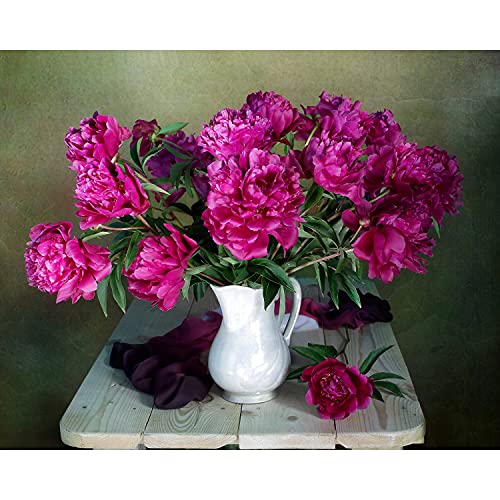 Opalberry Paint by Numbers for Adults - 16x20" Wrinkle-Free Rolled Canvas - Adults' Paint-by-Number Kits on Canvas - DIY Oil Painting by Numbers for Adults - Paint by Numbers Flowers